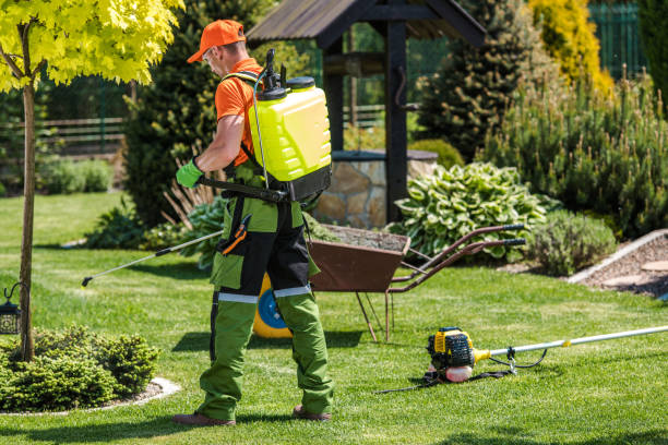 Best Fumigation Services  in Succasunna, NJ